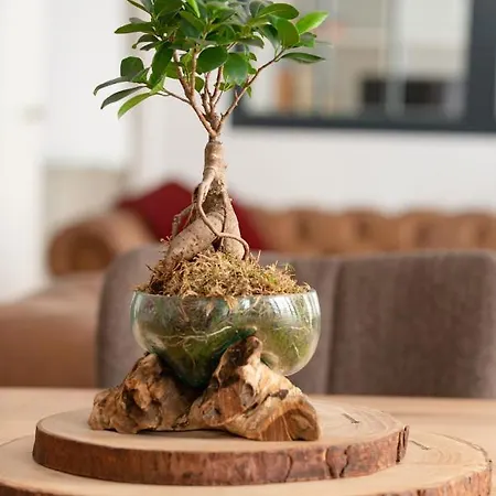 Exklusives Loft Im Zentrum Von Apartman